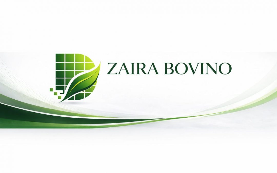 Cuando el modelo de remuneración condiciona la optimización energética