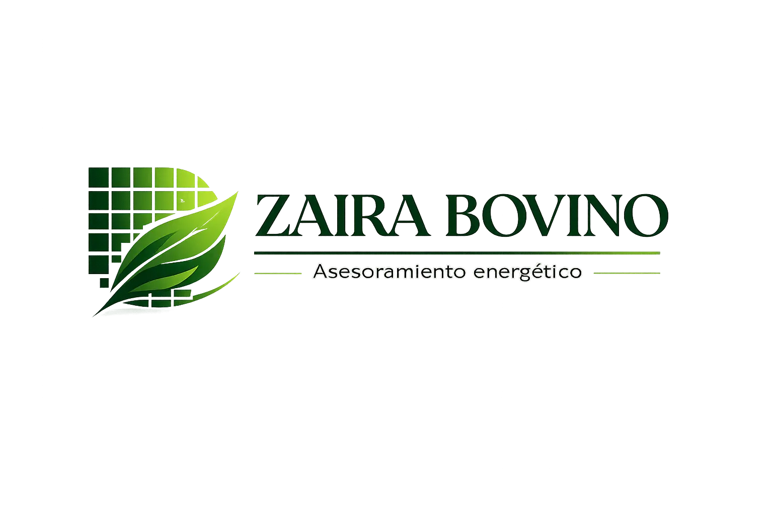 Zaira Bovino, asesora energética independiente